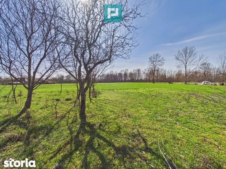 Casa cu teren de 6000 mp in Duboz, Timi? - 14