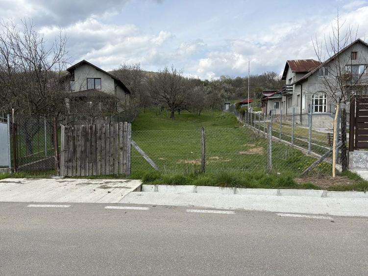 Vand teren Aninoasa Jud Dambovita - 8