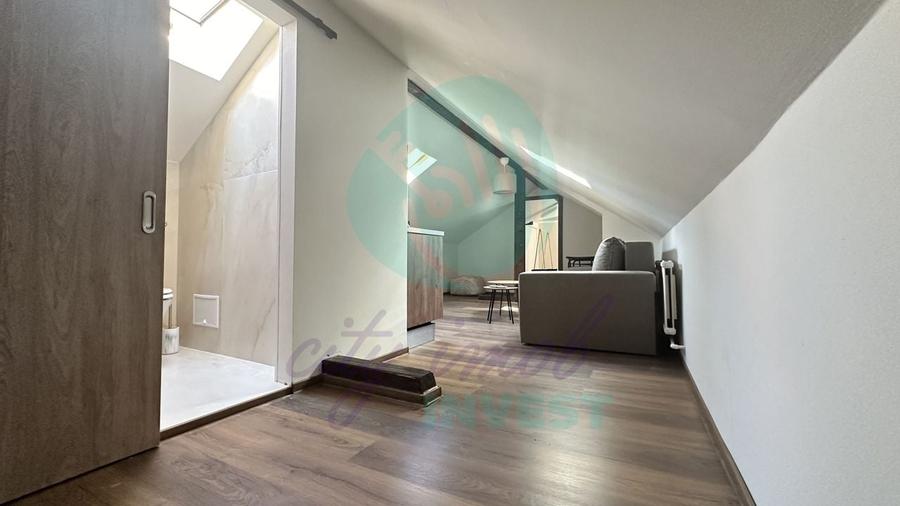 Vila interbelica AIRBNB "la cheie" - 26