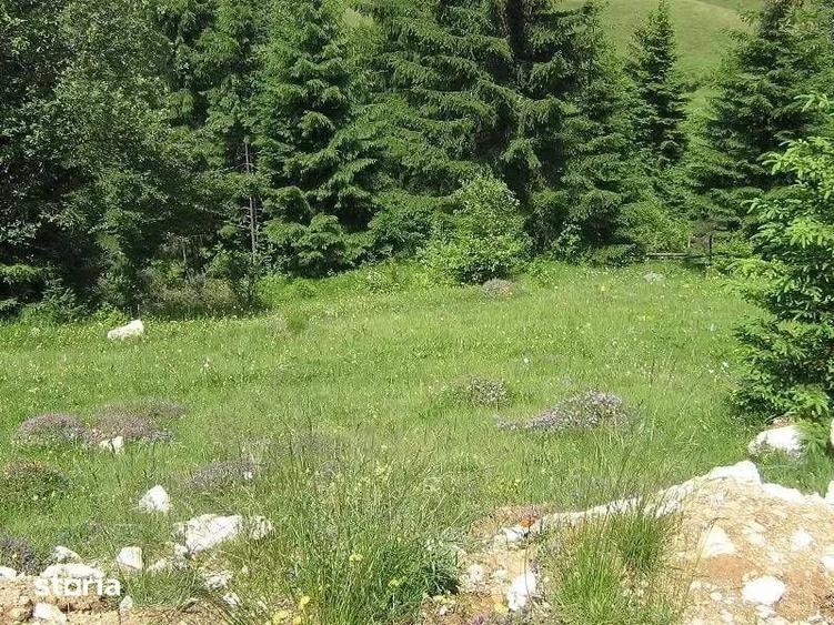 Teren de 10238 mp, în Fundata