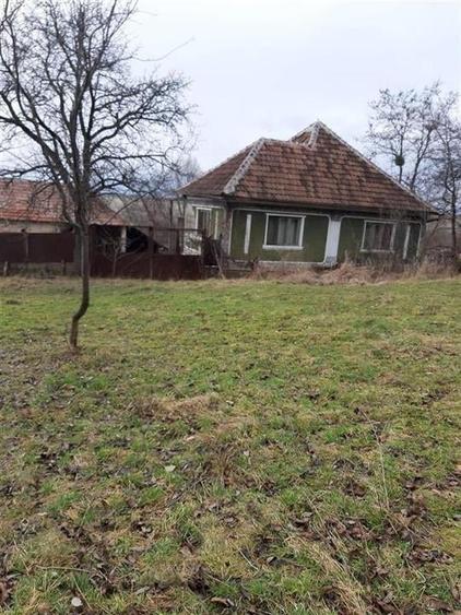 Casă individuală cu 4 camere cu Teren 6240 Mp în Valea Crișului