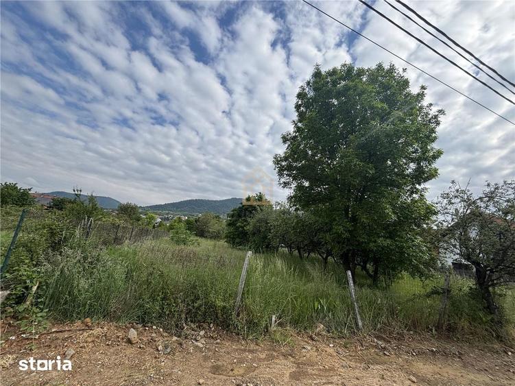 Teren de 3700 mp, în Valea Borcutului