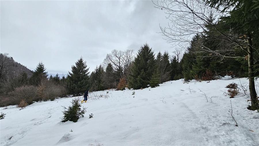 Teren extravilan de 4900 mp, în 13 Decembrie