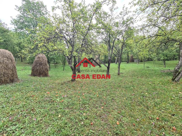 Teren Construcții intravilan de 5991 mp, în Șotrile