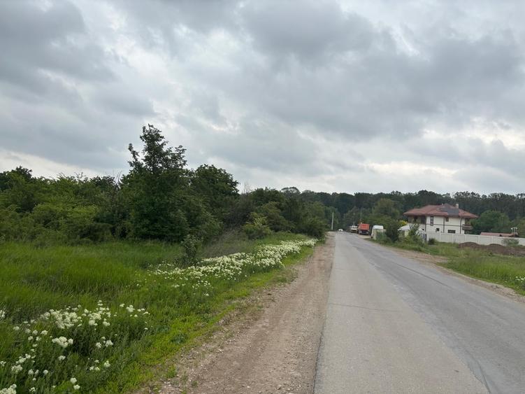 Teren 1000 mp în Mogoșoaia, la 5 minute de pădure - 2
