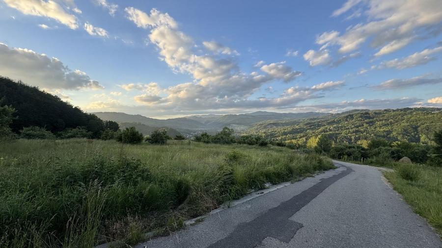 Teren Construcții intravilan de 4330 mp, în Malu cu Flori