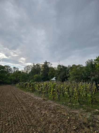 Casă cu 4 camere în Urlueni
