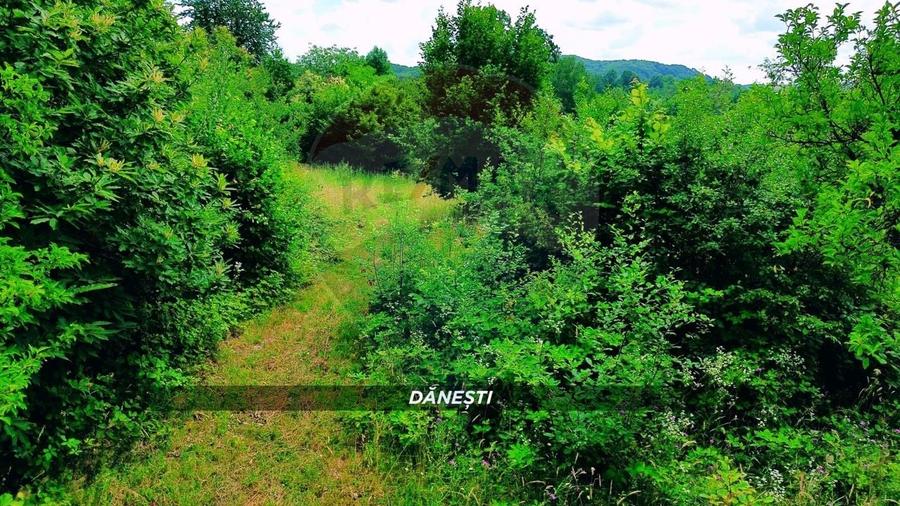 Teren agricol intravilan de 6115 mp, în Dănești