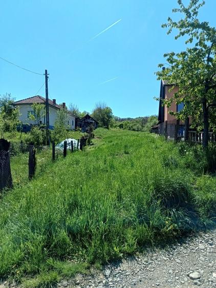 Teren de vanzare Pausesti Maglasi - 5