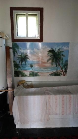 Gospodărie completă + anexe și teren 1,5 ha Năsăud - 8