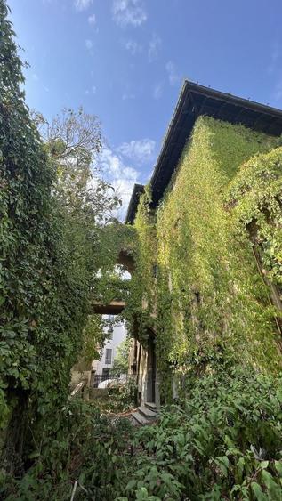 VILA INDIVIDUALA CISMIGIU | INTR. TEMISANA - 14