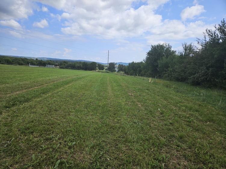 De vanzare teren extravilan - 6