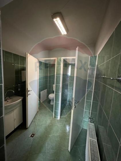 Casă  cu 5 camere de închiriat în zona Marasti, Piața 1 Mai - 6