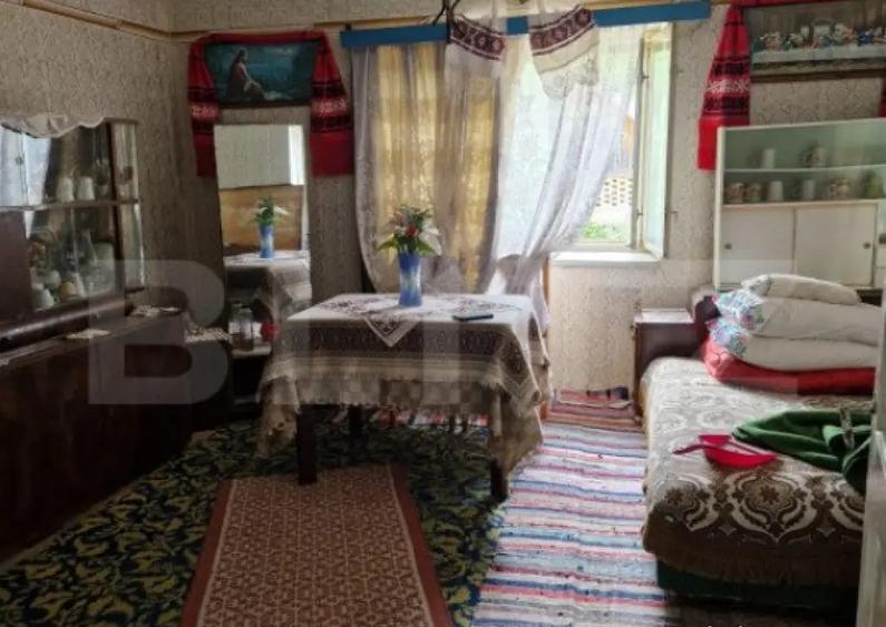 Casa la tara in Beudiu, comuna Nu?eni + teren arabil - 8