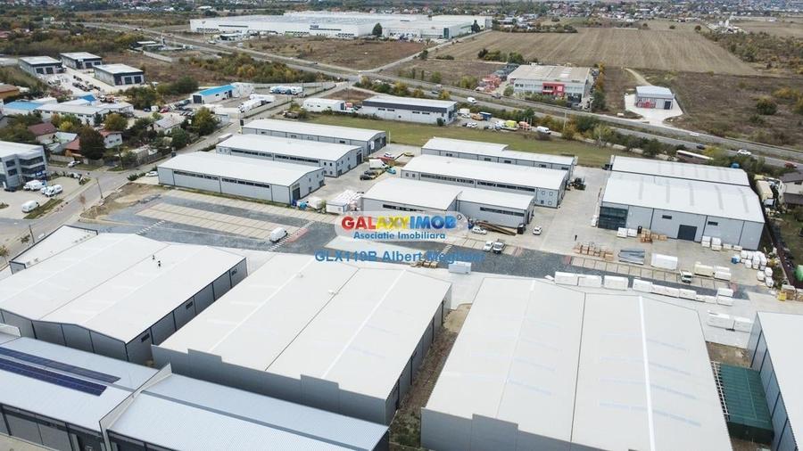 Hale Industriale Centura Rudeni Chitila Centura 415 mp/978 mp - 23