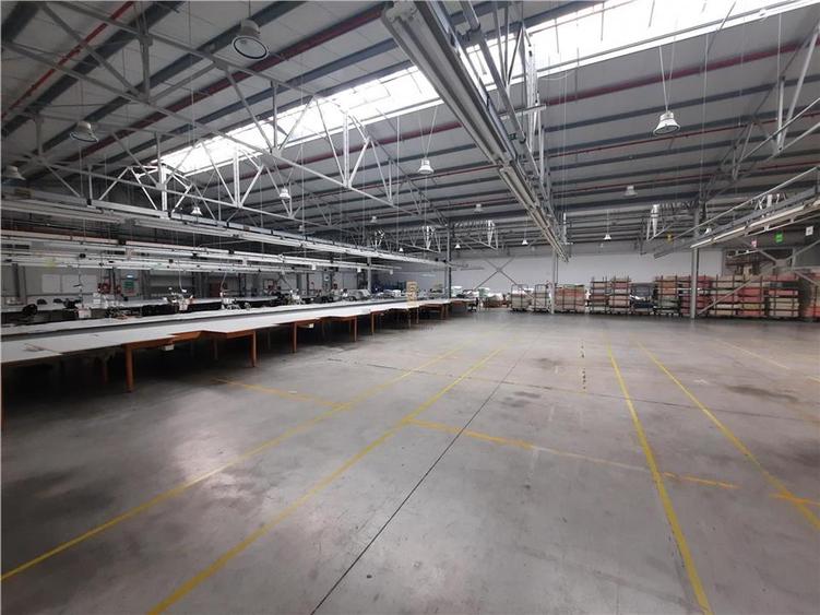 Spatiu Industrial - 6500 mp - Productie - Depozitare - 12