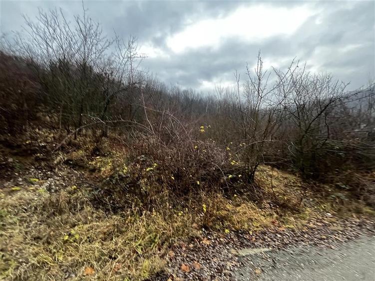 Teren intravilan 653 mp in Boldesti-Scaeni. - 5