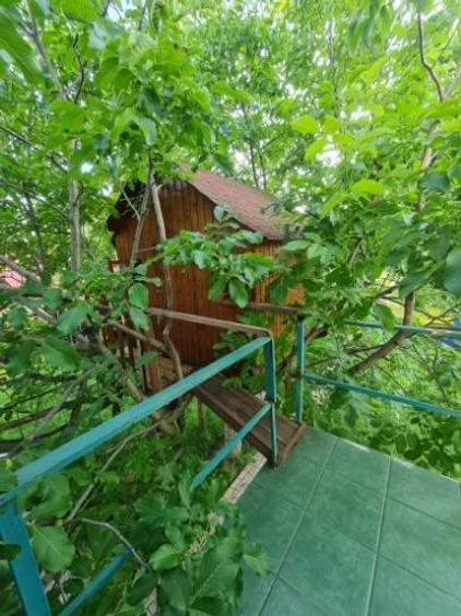 Casă cu 6 camere în Buftea - 7
