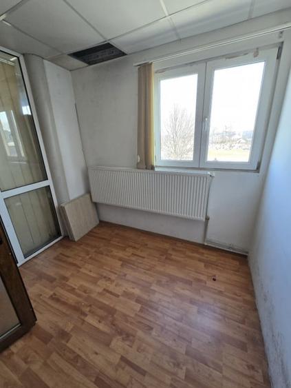 Hala 1000mp zona Bradului - 5