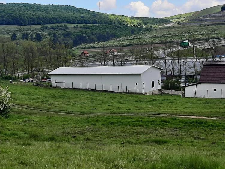 Teren de vanzare in Valcele - 1