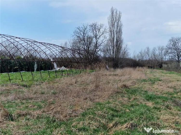 Casa de demolat cu teren mare in Bors - 5