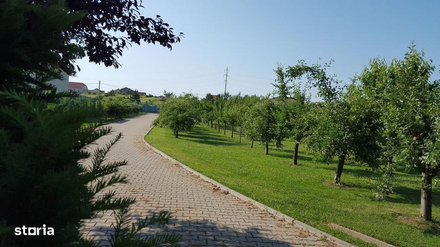 Teren 8000mp cu vila si parc recreational zona centrala Sanmartin - 2