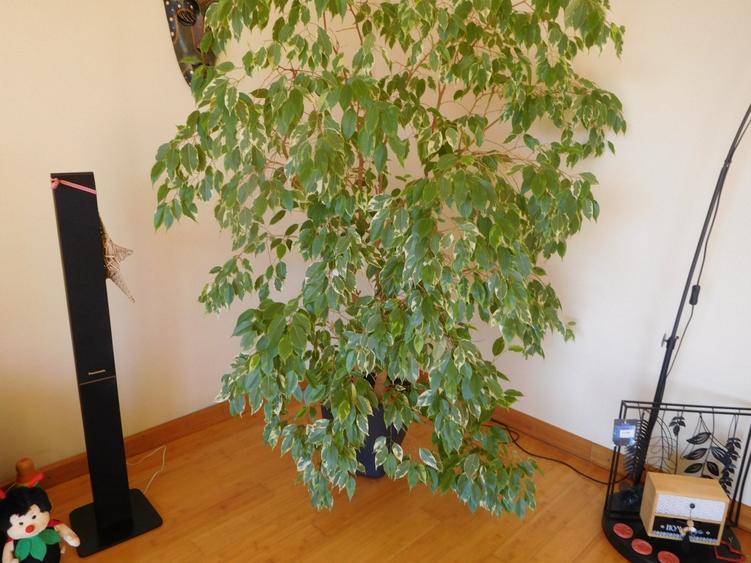 casa spatioasa cu o panorama excelenta - 12