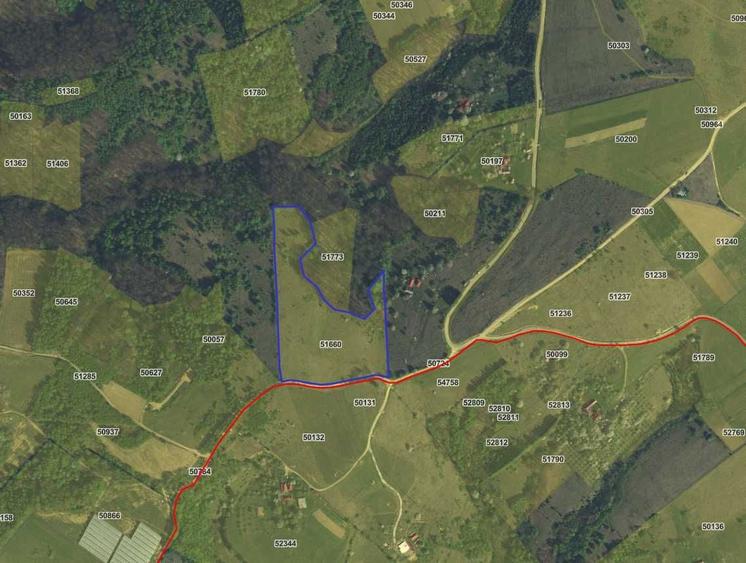 Teren de vanzare 3.05 Ha Sinteu, Bihor | Peisaj superb, izvor natural - 2