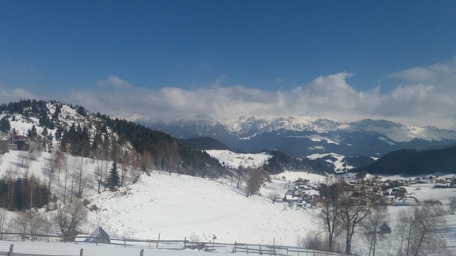 TEREN EXTRAVILAN SAT FUNDATA - 6