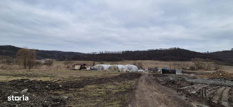 De vanzare 1.7ha teren- 6 euro/mp - 1