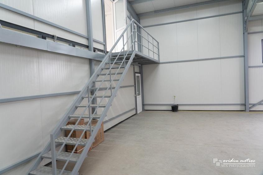 Hala 2022 singur la curte - 12