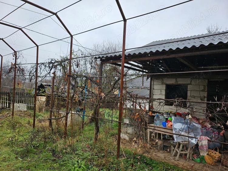 Gospodarie cu 2 case Comuna Trivale Mosteni, sat , la 30 km de Alexandria, jude?ul Teleorman - 3