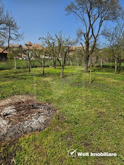 Casa de vanzare, teren 1700 mp, Ceanu Mic, judetul Cluj - 14