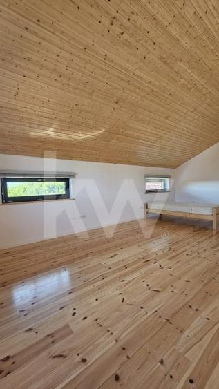 Casă modernă de închiriat, cu garaj generos – Tocile, Sadu - 15