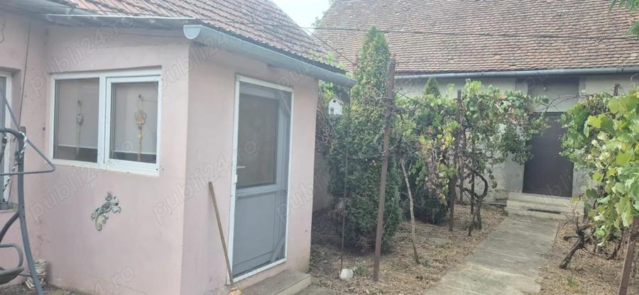 Vand casa in Sculia,Ora?ul Gataia,Jud Timi? (2158mp) - 3