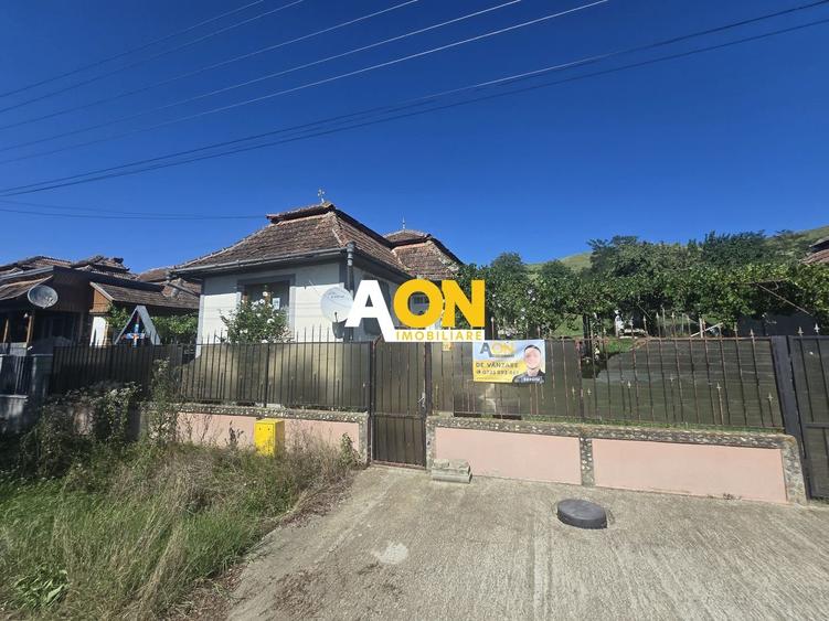 Comision 0%! Casa 3 camere Gura Ariesului, 1500mp Teren - 1
