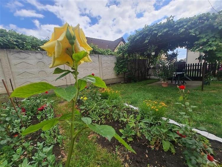 LIVE! Casa cu vatra traditionala, curte si gradina garaj, facilitati, Codlea, Br - 3