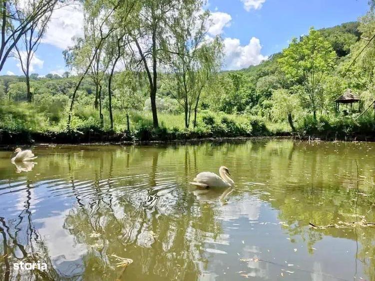 Domeniu turistic complet, pensiune 4 margarete, in functiune - 7