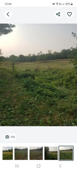 Vind teren intravilan liliesti oras baicoi - 2