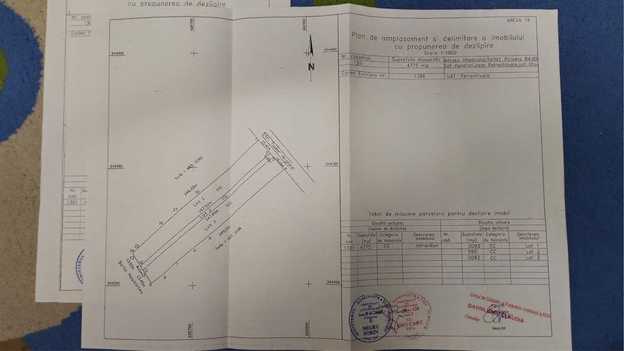 Teren intravilan 4775 mp Petrachioaia Ilfov deschidere strada - 1