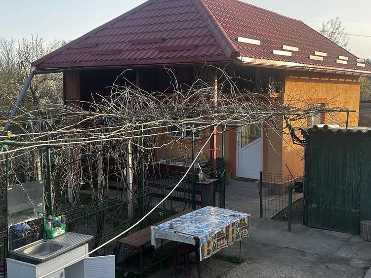 Proprietate 2 case (1noua cu mansarda)multiple anexe 2600 mp - 6