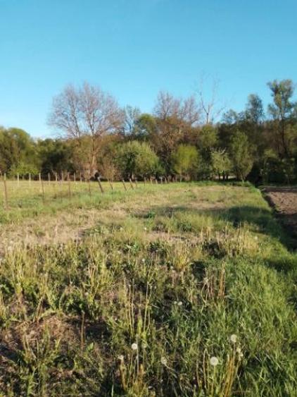 Casa de vanzare, Chiheru de Jos - 2