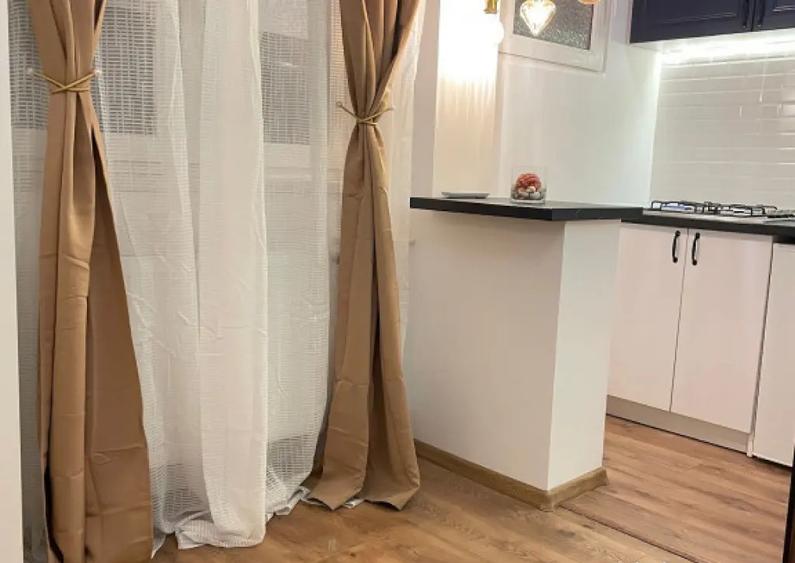 Alba iulia moise nicoara confort 2 etaj 9 - 6