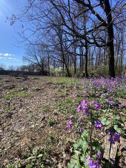 Teren de vis langa Pitesti - 4