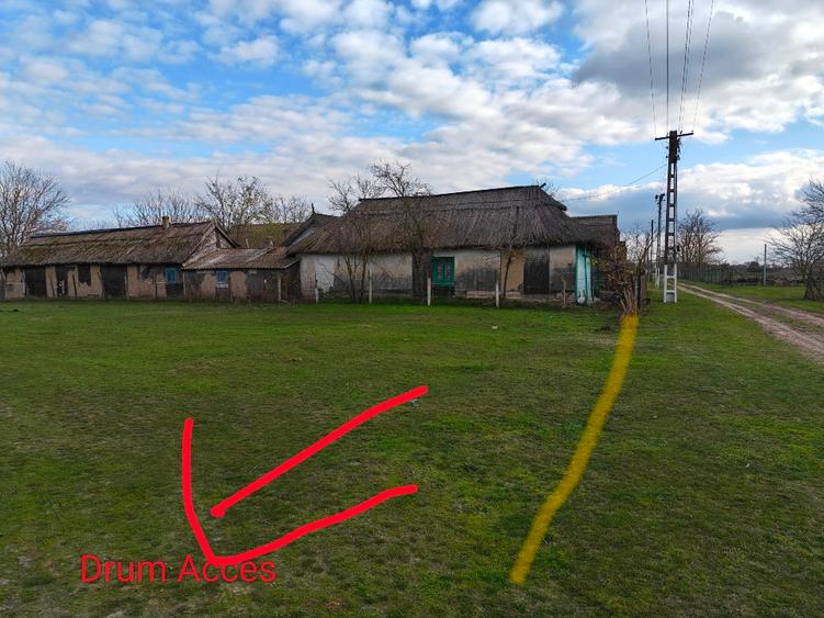 Vand 1800mp teren Letea 24 Rate Delta Dunarii - 5