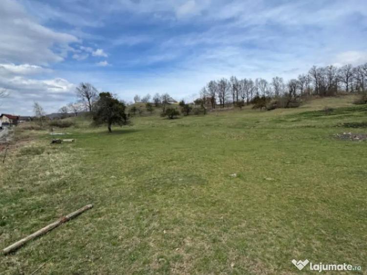 Teren 1.17 ha Baia Sprie, intravilan, PUZ aprobat, dublu acc - 1