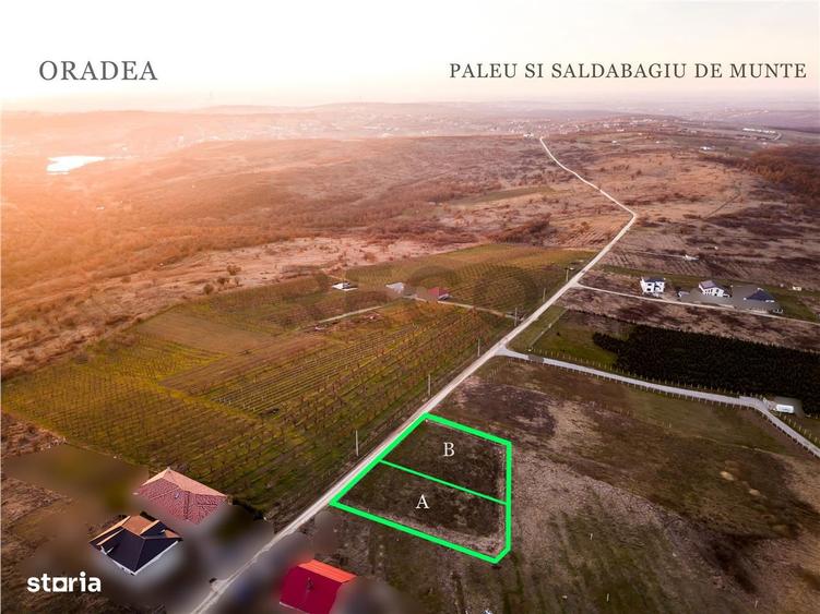 RECO Teren intravilan in Saldabagiu de Munte - 13