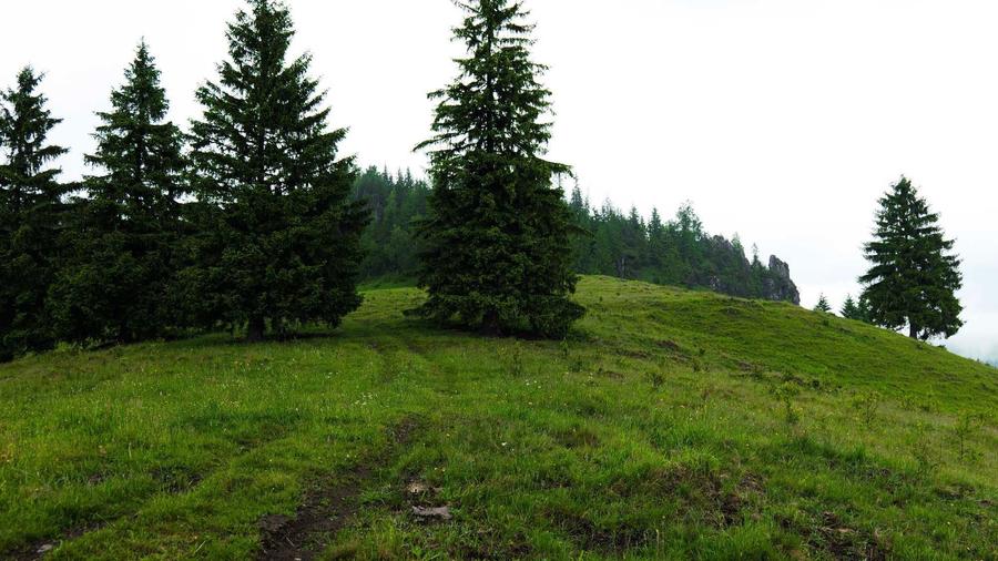 Unicat! 17 Ha Hectare teren intravilan + extravilan in Fundu Moldovei - 5