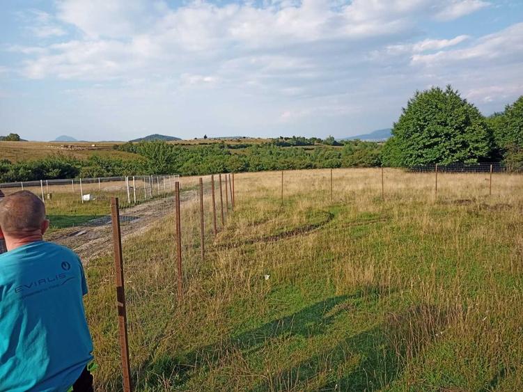 Teren de vanzare 1060mp Zarnesti/Tohanita - 5