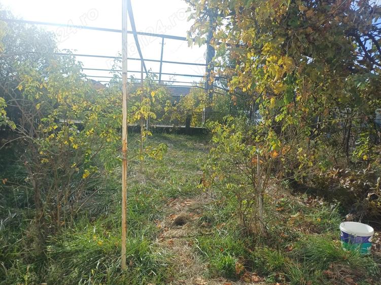 Vand casa comuna Cocu,sat Crucisoara - 2